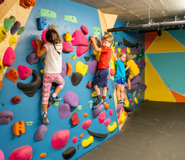 Four young children climb a colorful indoor bouldering wall with various shaped holds. The padded wall and floor make it a safe, fun spot—perfect for birthday parties in DC. The kids wear casual sportswear and climbing shoes.