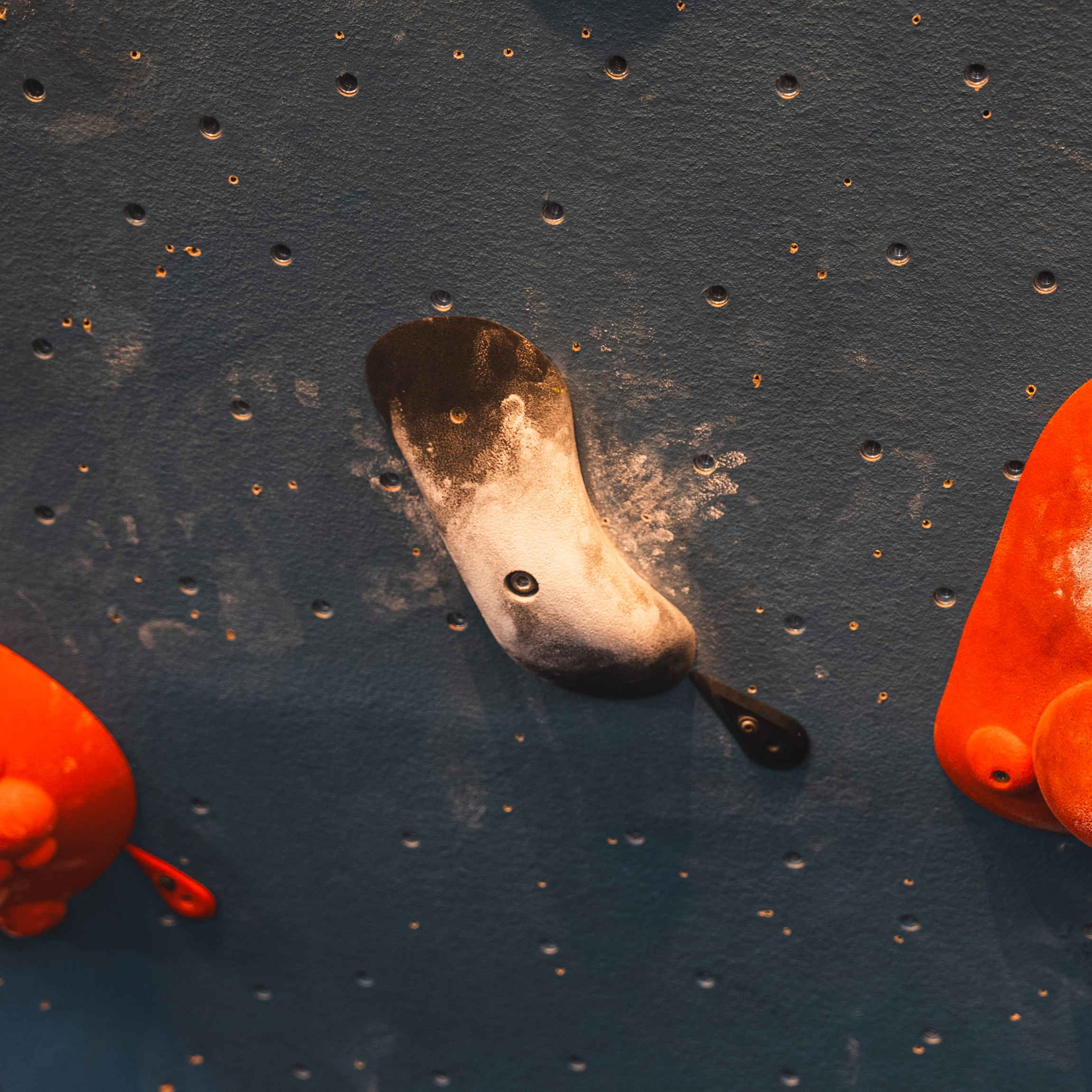 A close-up of black and white rock climbing holds mounted on a dark wall, with visible chalk marks and orange holds partially visible on either side.