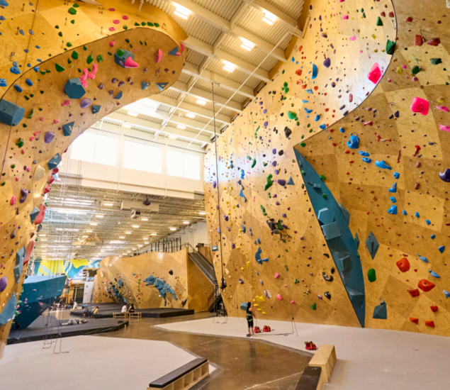 Spacious indoor rock climbing gym with high, yellow climbing walls covered in colorful holds. A few people stand on padded flooring, preparing to climb. Large windows let in natural light—all markets welcome for 2025 promotions!.