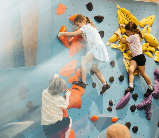 Three young children climb a colorful indoor bouldering wall at Minneapolis Bouldering Project, focused and engaged just like participants in their youth climbing programs. Sunlight shines onto the orange, yellow, and purple holds from the left.